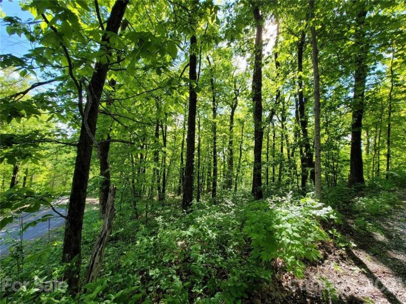 Property image 4 at 0 White Oak Mountain Road, Columbus, NC 28722