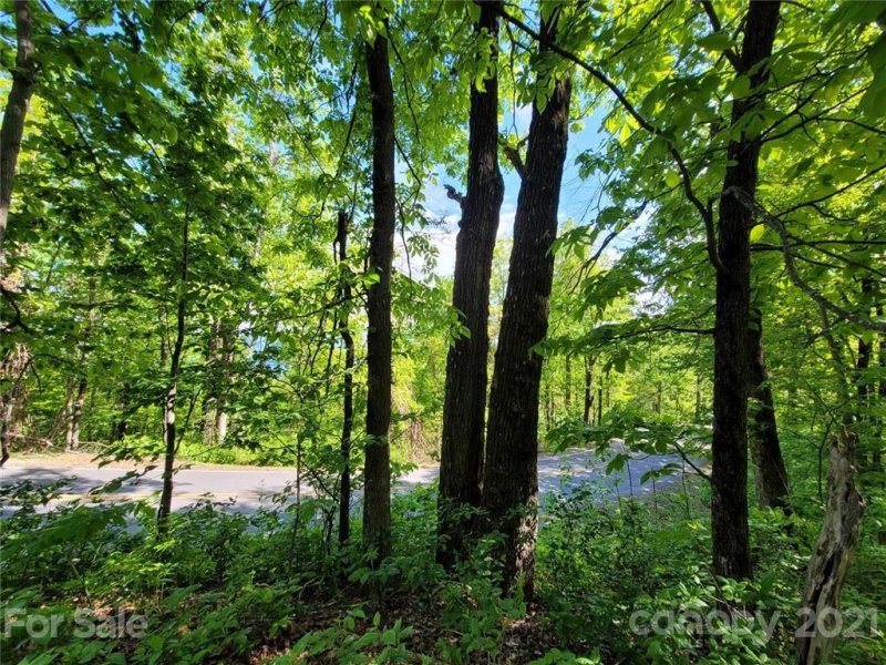 Property image 5 at 0 White Oak Mountain Road, Columbus, NC 28722