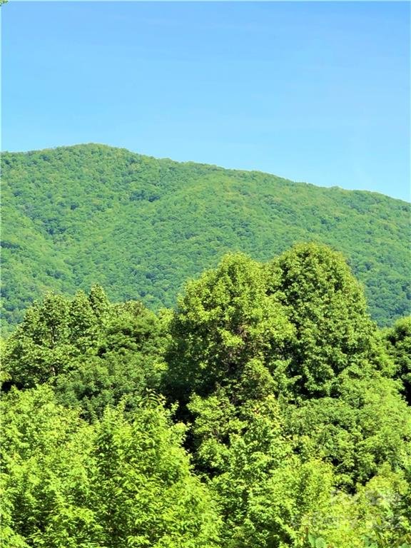 Property image 5 at 572 Slippery Rock Road, Waynesville, NC 28785