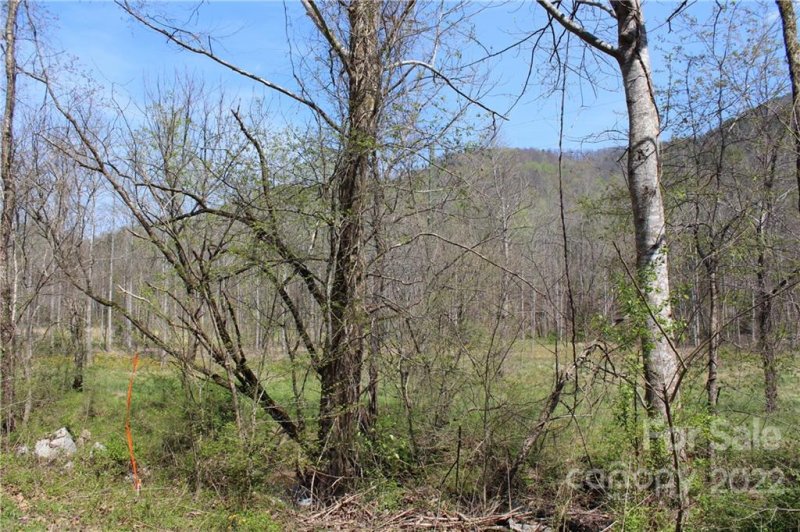 Property image 4 at 1 76 Acres Cedar Creek Road, Lake Lure, NC 28746