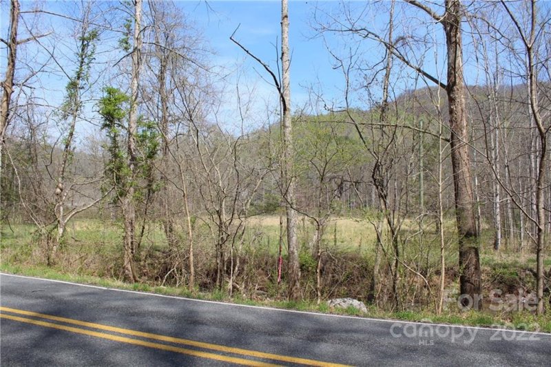 Property image 5 at 1 76 Acres Cedar Creek Road, Lake Lure, NC 28746