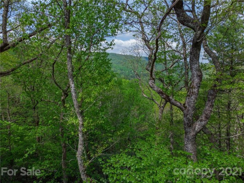 Property image 3 at 703 Valle Cay Drive, Vilas, NC 28692