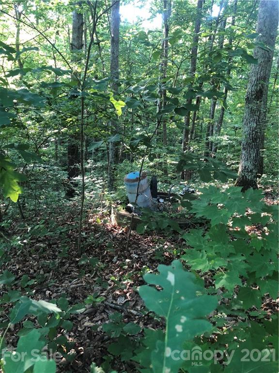 Property image 4 at 4861 Sierra Drive, Maiden, NC 28650