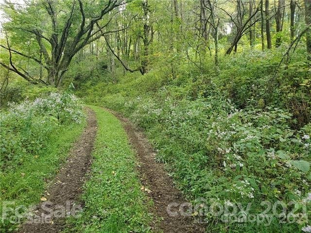 Property image 2 at 57 Skyridge Drive, Clyde, NC 28721