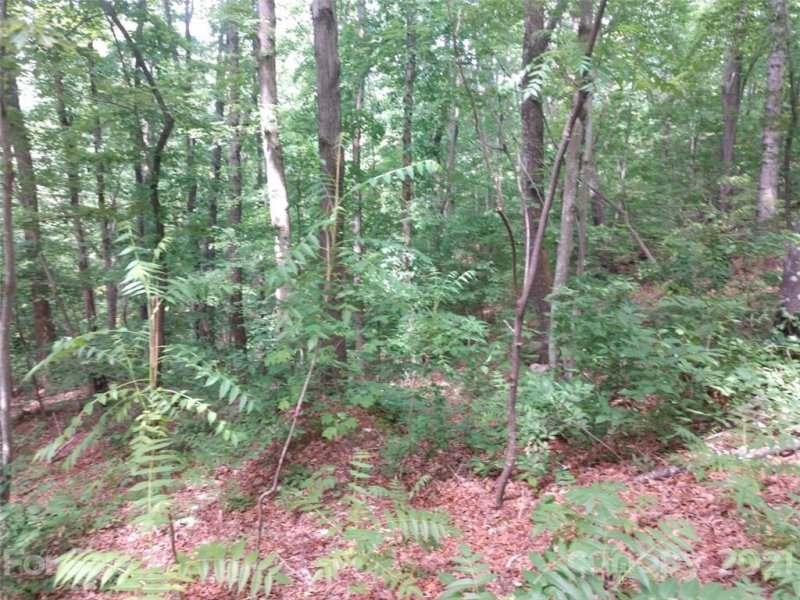 Property image 2 at 00 Mountain Crest Drive, Marion, NC 28752