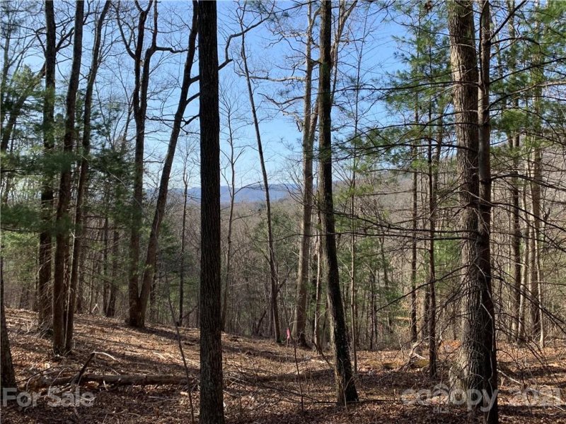 Property image 3 at 224 Spivey Mountain Road, Asheville, NC 28806