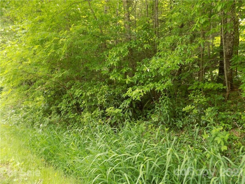 00 Laurel Branch Road