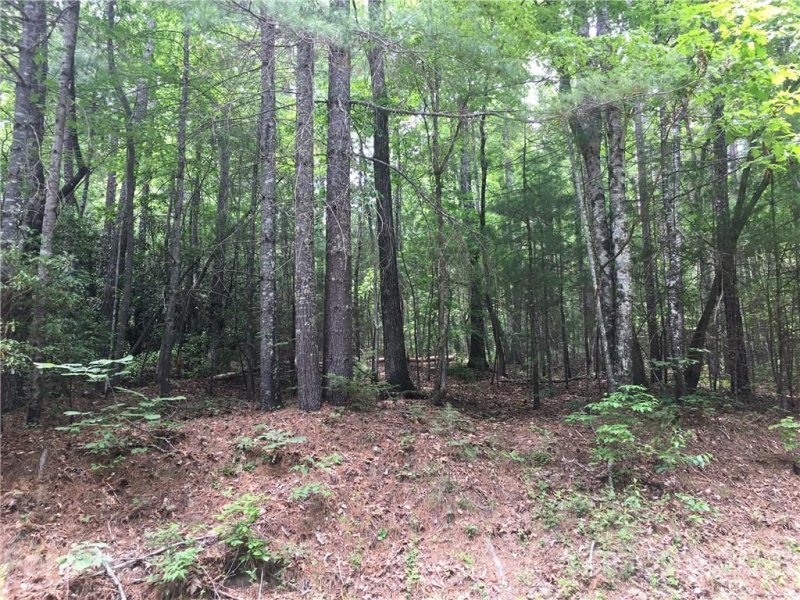 Property image 3 at 00 Bear Landing Drive, Hendersonville, NC 28792