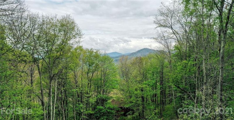 Property image 4 at 1933 Laurel Ridge Road, Maggie Valley, NC 28751