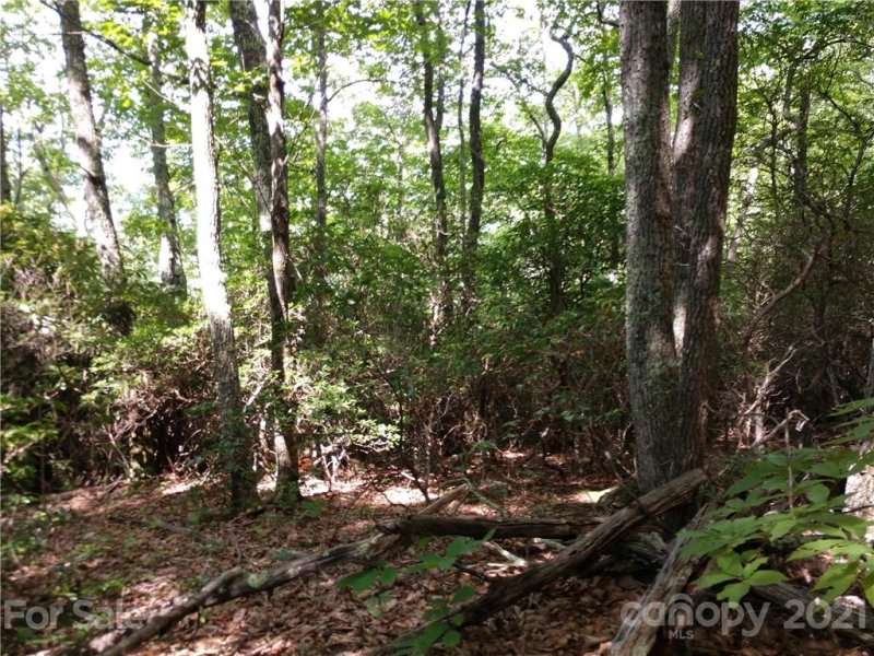 Property image 2 at 00 Dream Mountain Road, Canton, NC 28716