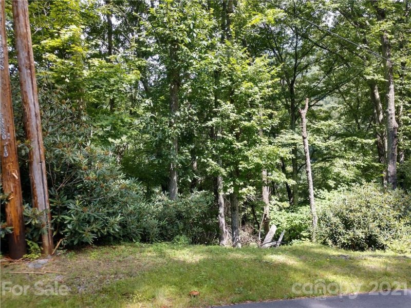 Property image 3 at 00 Dream Mountain Road, Canton, NC 28716