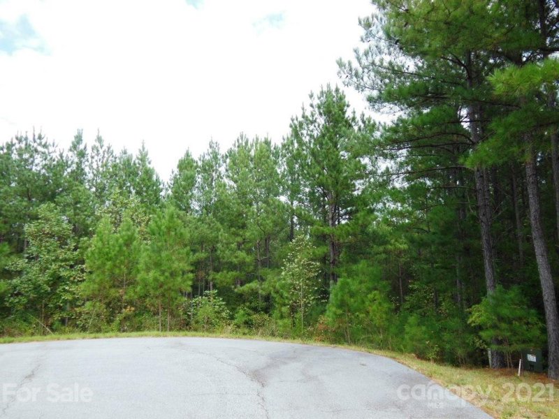 Property image 2 at 5 6 Ashley Court, Mill Spring, NC 28756