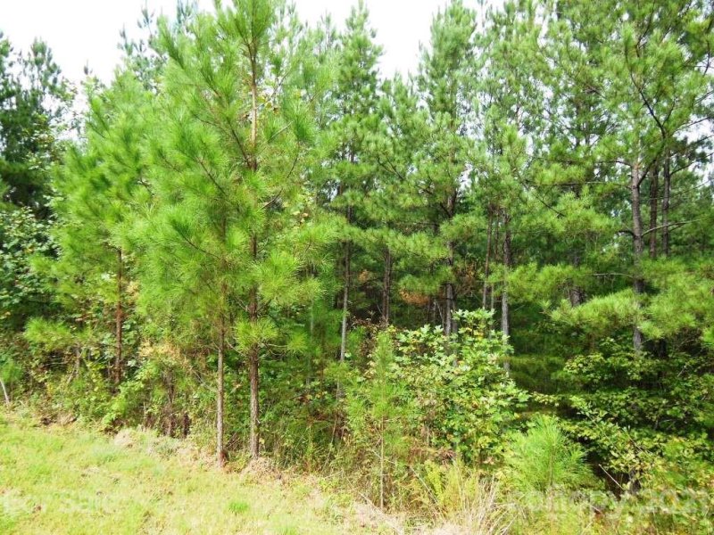 Property image 5 at 5 6 Ashley Court, Mill Spring, NC 28756