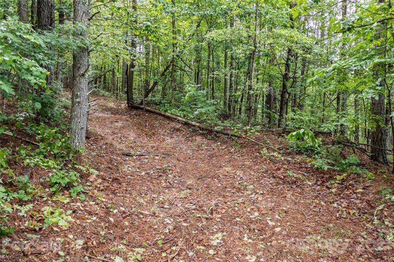 Property image 5 at 3917 Big Creek Road, Morganton, NC 28655