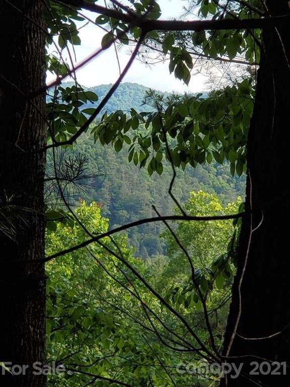 Property image 2 at 240 White Water Way, Marshall, NC 28753