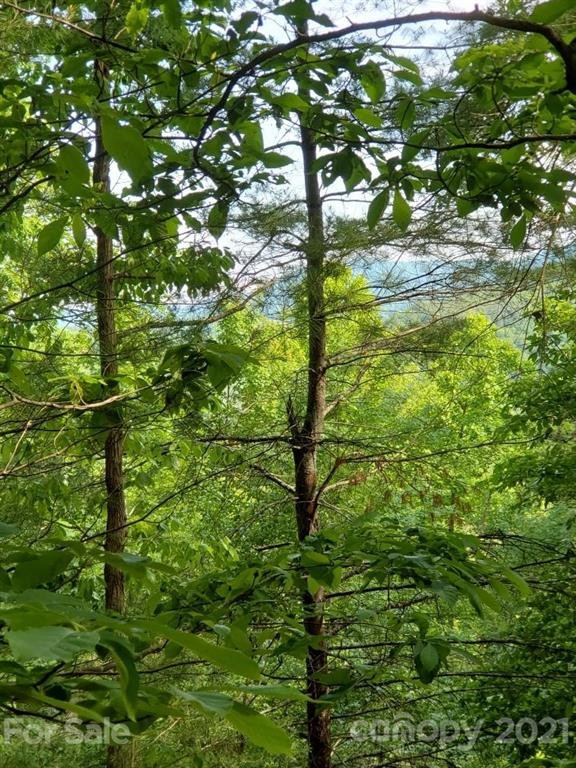 Property image 3 at 240 White Water Way, Marshall, NC 28753