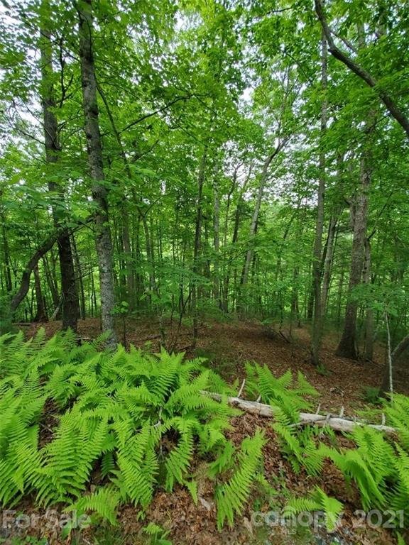 Property image 2 of 141 River Club Trail in French Broad Crossing, Marshall, NC 28753