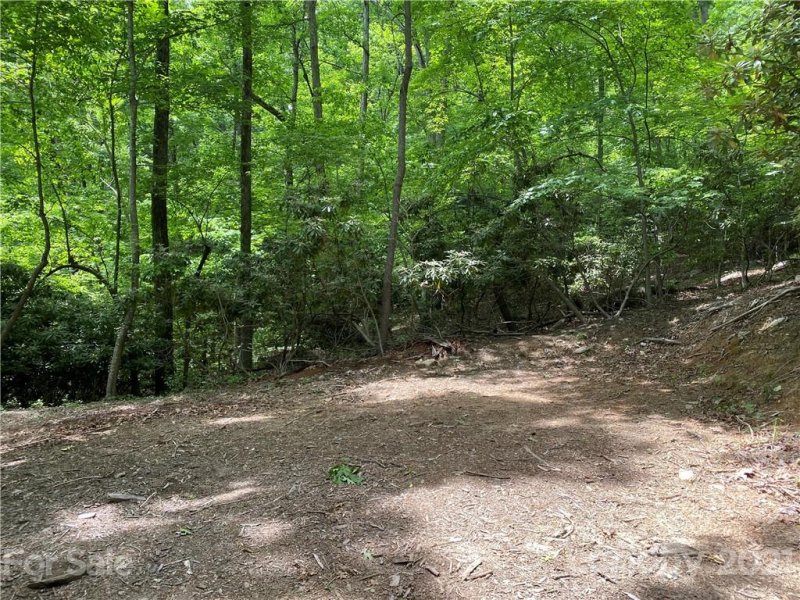 Property image 4 at Lot W13 Curtain Bluff, Hendersonville, NC 28791