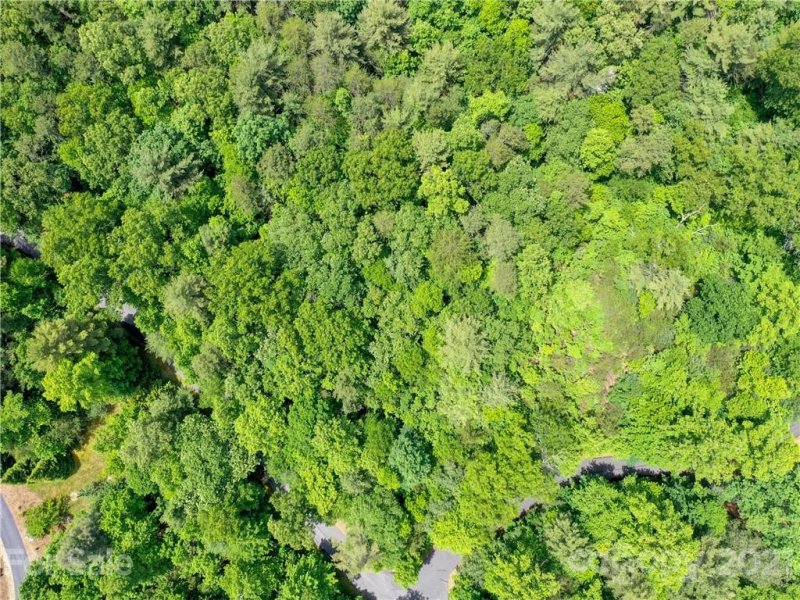 Property image 3 at Lot 35 Ashley Bend Trail, Hendersonville, NC 28792