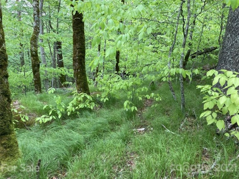 Property image 2 at 0 Mule Trail Drive, Bakersville, NC 28705