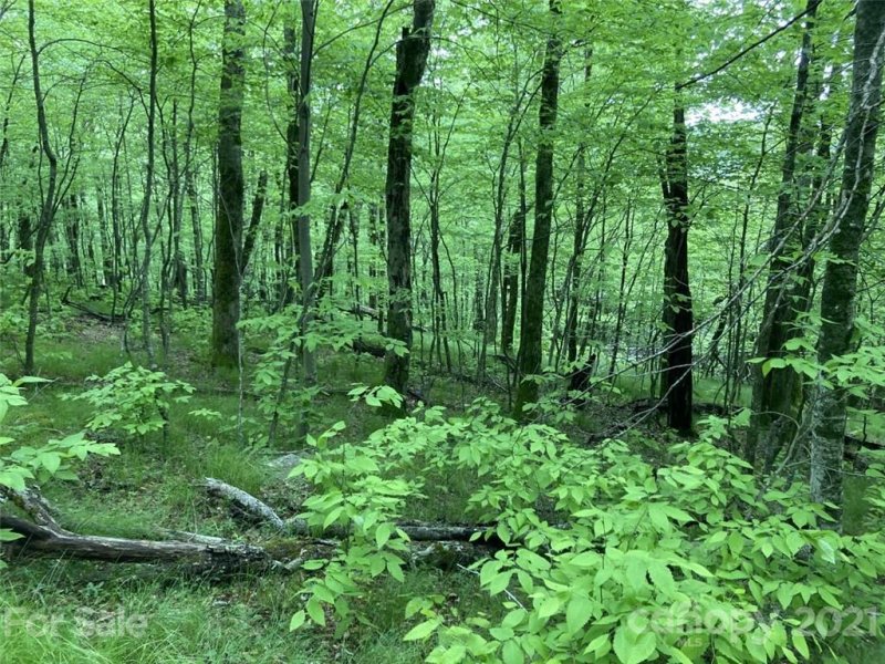 Property image 3 at 0 Mule Trail Drive, Bakersville, NC 28705