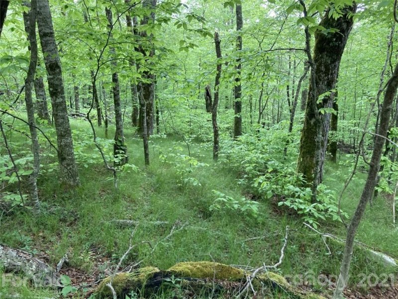 Property image 4 at 0 Mule Trail Drive, Bakersville, NC 28705