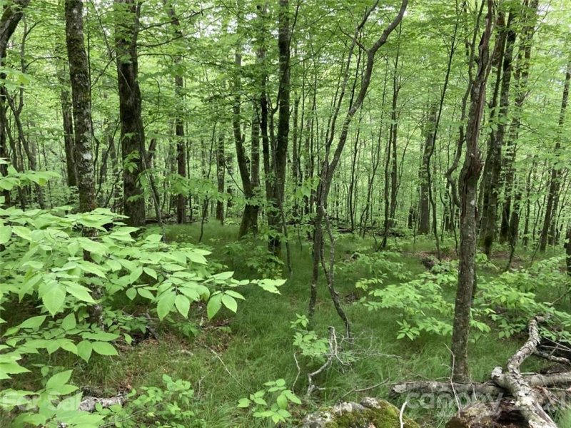 Property image 5 at 0 Mule Trail Drive, Bakersville, NC 28705