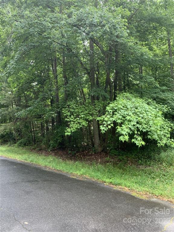 Property image 4 at 0 Deer Run Extension, Rock Hill, SC 29732