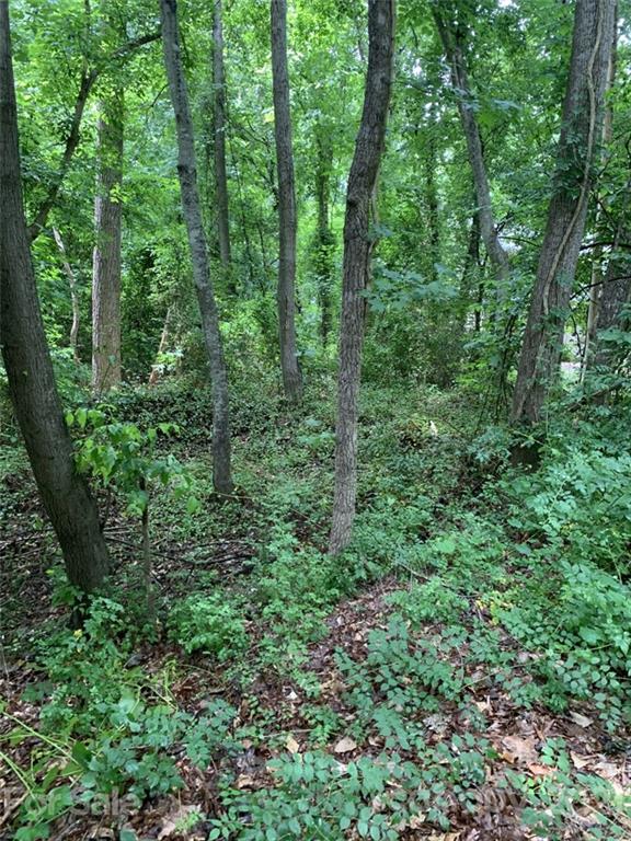 Property image 2 at 0 Deer Run Road, Rock Hill, SC 29732