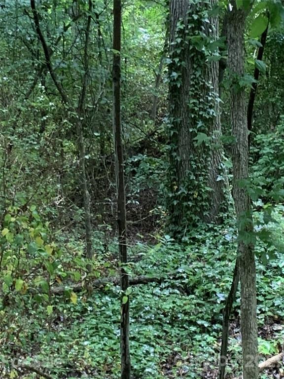 Property image 3 at 0 Deer Run Road, Rock Hill, SC 29732