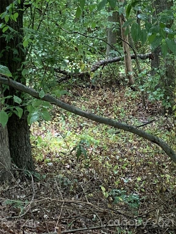 Property image 4 at 0 Deer Run Road, Rock Hill, SC 29732