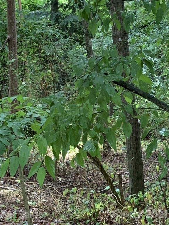 Property image 5 at 0 Deer Run Road, Rock Hill, SC 29732