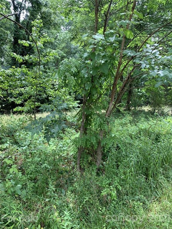 Property image 3 at 475 Museum Road, Rock Hill, SC 29732