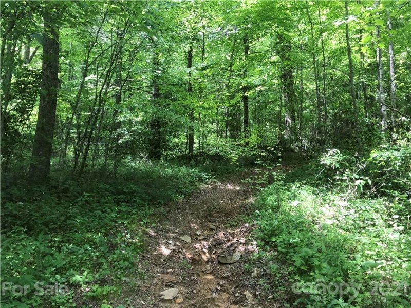 Property image 3 at 520 Happy Acres Road, Brevard, NC 28712