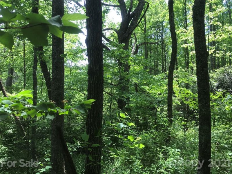 Property image 4 at 520 Happy Acres Road, Brevard, NC 28712