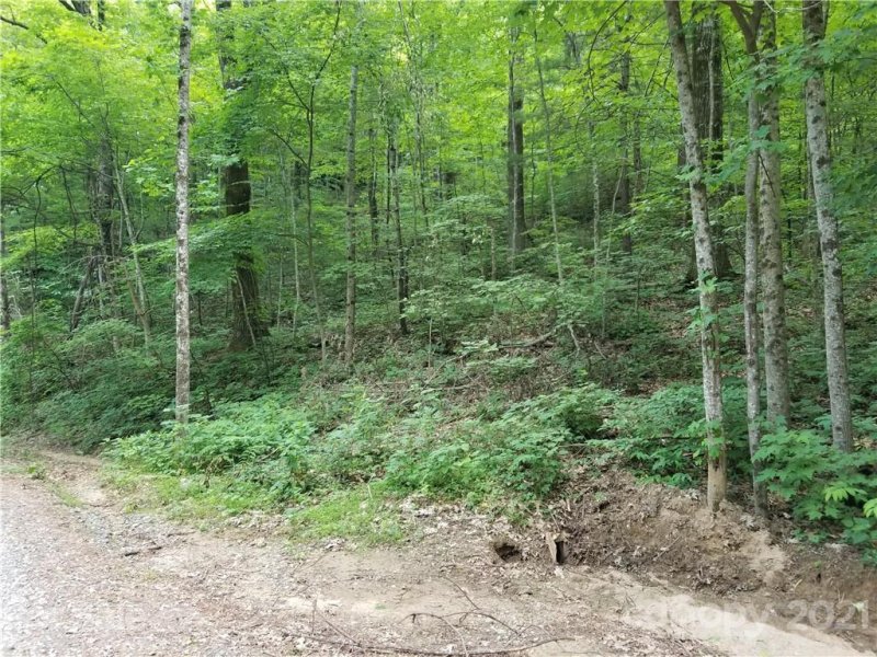 Property image 2 at Lot 341 Melrose Mountain Road, Tryon, NC 28782