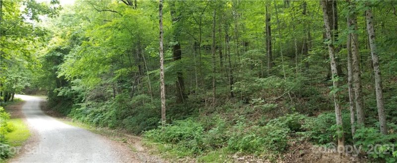Property image 3 at Lot 341 Melrose Mountain Road, Tryon, NC 28782
