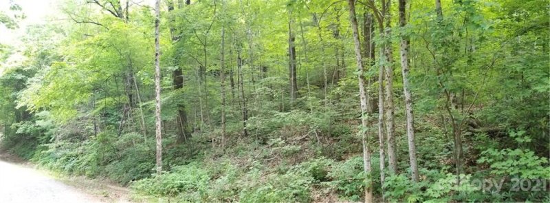 Property image 4 at Lot 341 Melrose Mountain Road, Tryon, NC 28782