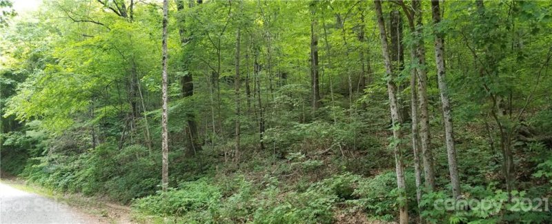 Property image 5 at Lot 341 Melrose Mountain Road, Tryon, NC 28782
