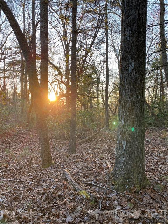 Property image 2 at Lot 2a Dogwood Circle, Penrose, NC 28766