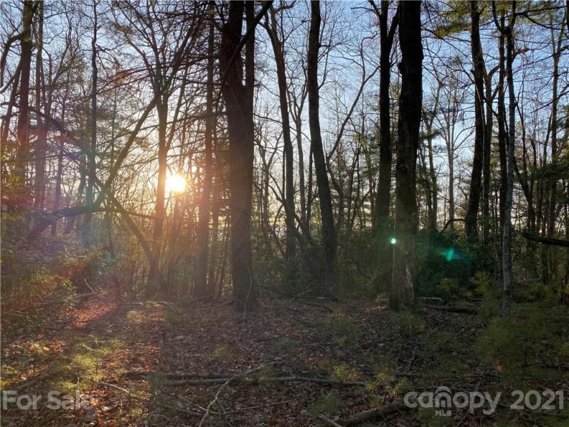 Property image 3 at Lot 2a Dogwood Circle, Penrose, NC 28766