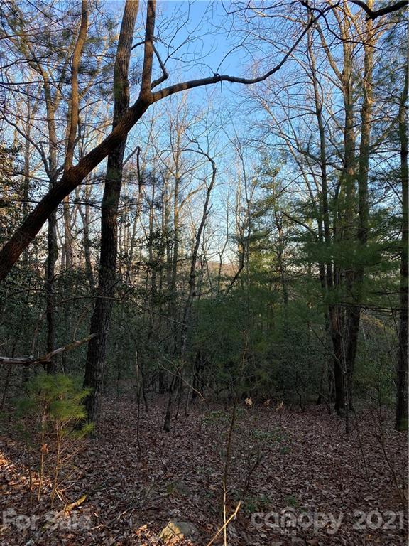 Property image 4 at Lot 2a Dogwood Circle, Penrose, NC 28766