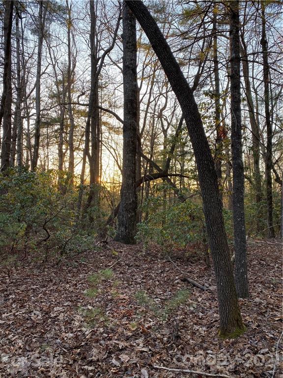 Property image 5 at Lot 2a Dogwood Circle, Penrose, NC 28766