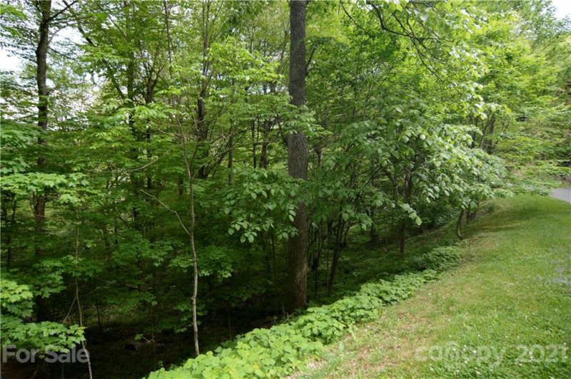 Property image 4 at 73 Goldenleaf Road, Mars Hill, NC 28754