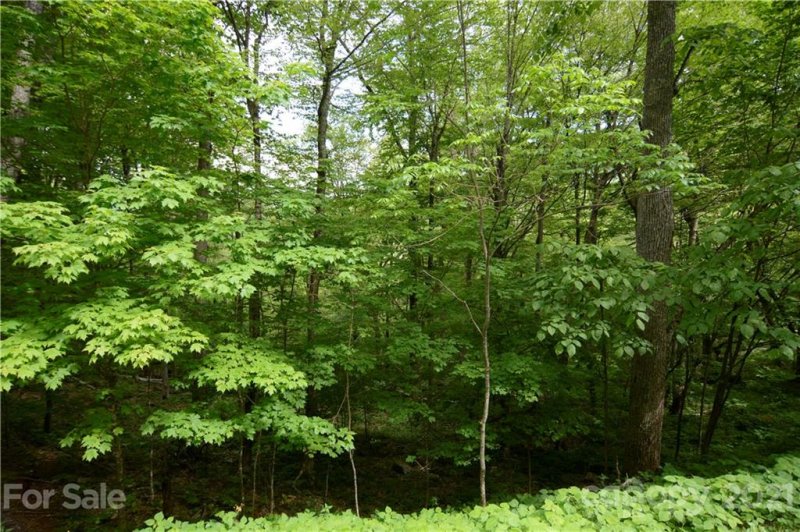 Property image 5 at 73 Goldenleaf Road, Mars Hill, NC 28754