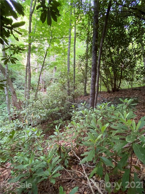 Property image 2 at Lot 10 Indian Lake Road, Lake Toxaway, NC 28747