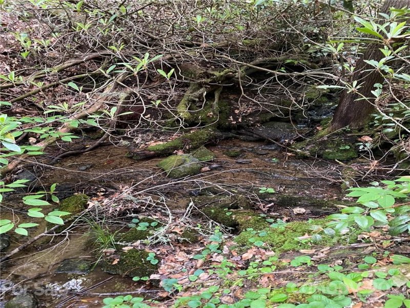 Property image 3 at Lot 10 Indian Lake Road, Lake Toxaway, NC 28747