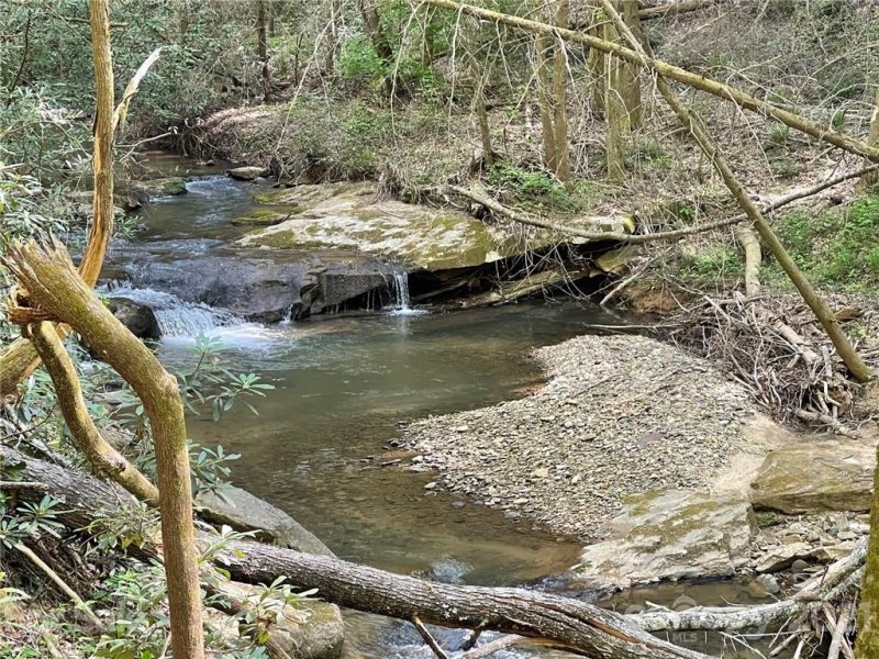 Property image 3 at 363 Bobcat Trail, Saluda, NC 28773