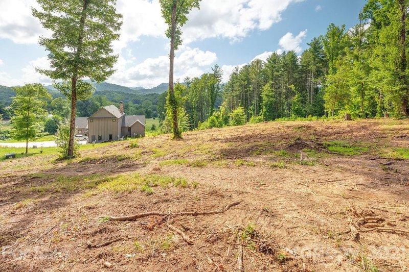 Property image 3 at 148 Olivia Trace Drive, Fletcher, NC 28732