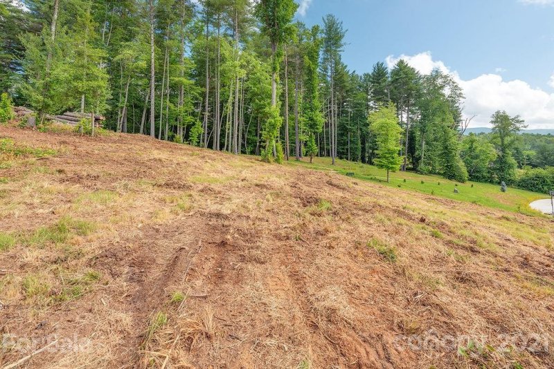 Property image 5 at 148 Olivia Trace Drive, Fletcher, NC 28732